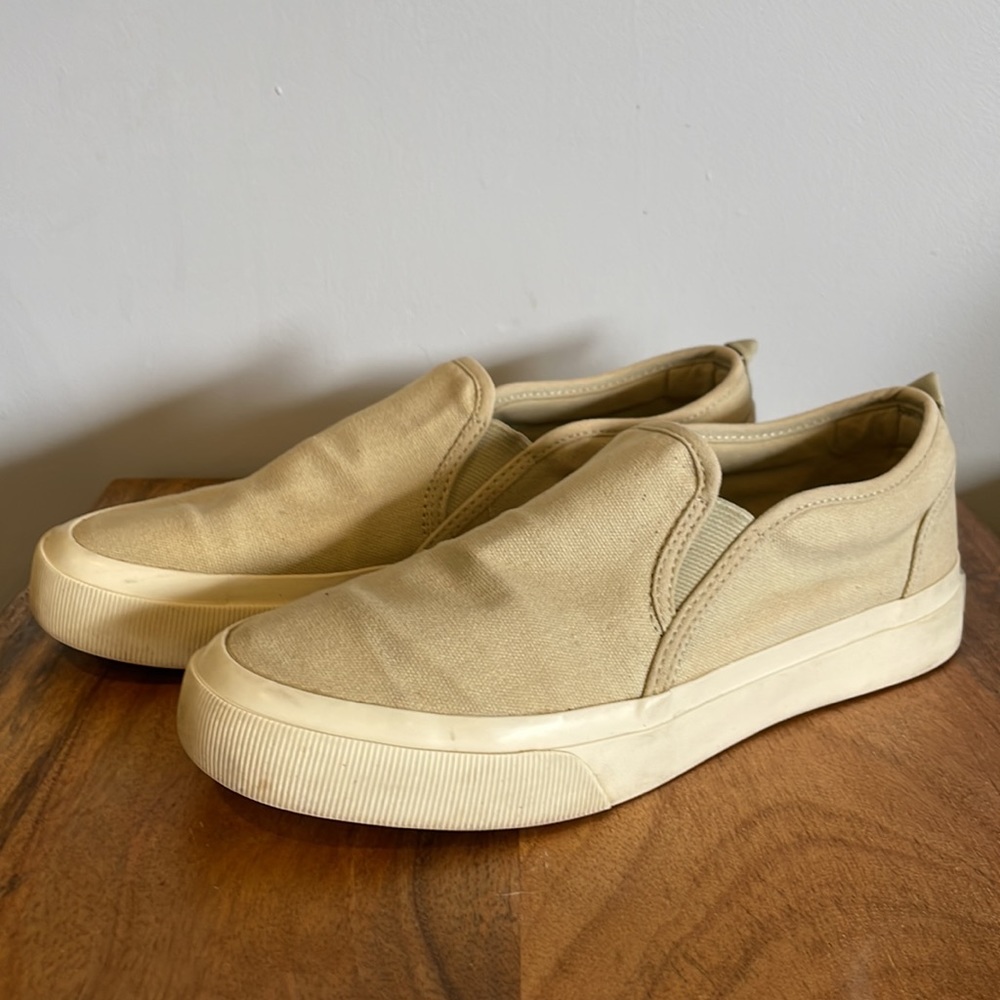 Everlane sneakers